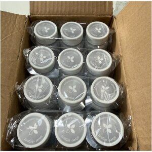 Stencil Acrylic Paint Silver 2 Fl Oz Non-Toxic No Drip Full Coverage 12 Pack